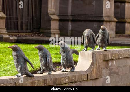 Marche de la sculpture de pingouins par Angela Hunter à Dundee Banque D'Images