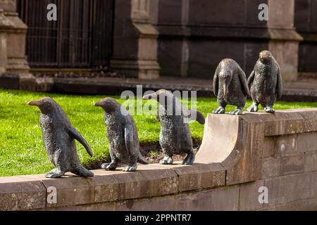 Marche de la sculpture de pingouins par Angela Hunter à Dundee Banque D'Images