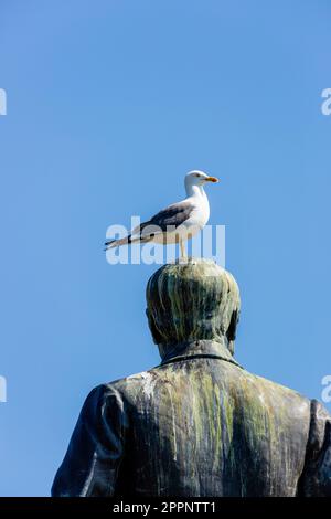 Un mouette assis à la tête de la statue d'Andrew Carnegie à Dunfermline, Fife. Banque D'Images