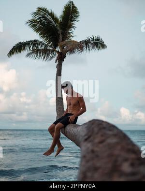 Homme assis sur un palmier courbé. Photo de haute qualité. Au coucher du soleil sur l'île d'Oahu à Hawaï. Banque D'Images