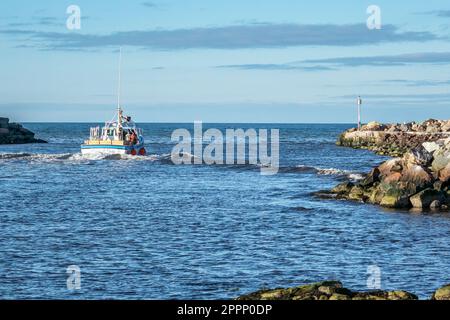 Les pêcheurs de crabe quittent le port de glace Bay en Nouvelle-Écosse après avoir lâché leurs prises à l'usine de transformation des produits de la mer. Banque D'Images