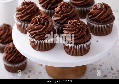 Cupcakes au chocolat avec glaçage à la ganache fouettée au chocolat noir et saupoudrés de chocolat Banque D'Images