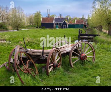 Un magnifique paysage rural à Hollands Zaanse Schans, avec une charrette en bois et un bâtiment entouré de champs d'herbe verte et de plantes. Banque D'Images