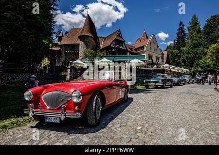 La voiture rétro de transylvanie fait un rallye au château de Peles en Roumanie Banque D'Images