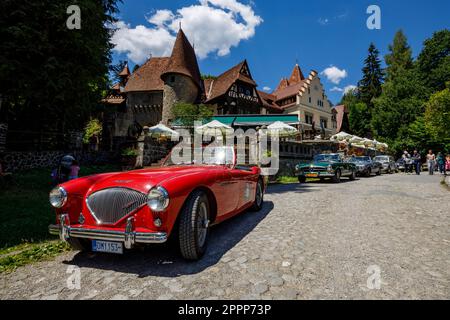 La voiture rétro de transylvanie fait un rallye au château de Peles en Roumanie Banque D'Images