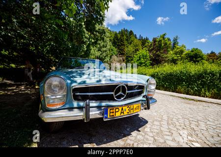 La voiture rétro de transylvanie fait un rallye au château de Peles en Roumanie Banque D'Images