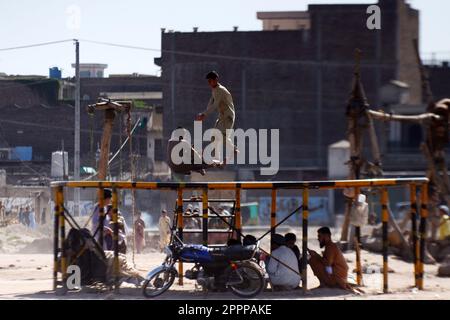 Peshawar, Khyber Pakhtunkhwa, Pakistan. 23rd avril 2023. Les enfants apprécient les balançoires à cheval pendant les célébrations d'Eid al-Fitr à Peshawar. Les musulmans du monde entier célèbrent Eid al-Fitr, le festival de trois jours marquant la fin du Saint mois de jeûne musulman du Ramadan. L'EID al-Fitr est l'une des deux grandes vacances de l'Islam. (Credit image: © Hussain Ali/Pacific Press via ZUMA Press Wire) USAGE ÉDITORIAL SEULEMENT! Non destiné À un usage commercial ! Banque D'Images