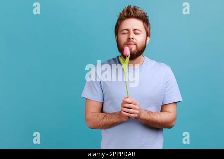 Portrait romantique beau jeune adulte barbu homme debout, tenant la fleur de tulipe rose, odorant et appréciant avec les yeux fermés. Studio d'intérieur isolé sur fond bleu. Banque D'Images