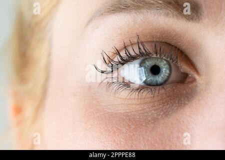 Détails d'un œil humain bleu. Macro de l'œil bleu, des cils et des sourcils d'une femme blanche blonde. Gros plan qui met en évidence la présence d'un bateau Banque D'Images