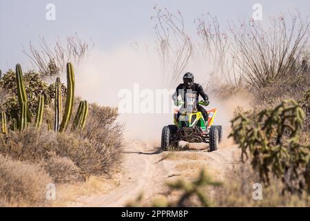 Hermosillo, Mexique. 24th avril 2023. 162 KANCIUS Laisvydas (ltu), AG Dakar School, Yamaha Raptor 700R, FIM W2RC, action pendant la phase 1 du Sonora Rally 2023, 3rd ronde du Championnat mondial de rallye-RAID 2023, autour de Hermosillo sur 24 avril 2023 à Hermosillo, Mexique - photo DPPI crédit: DPPI Media/Alamy Live News Banque D'Images