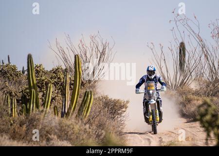 Hermosillo, Mexique. 24th avril 2023. 77 BENAVIDES Luciano (arg), Husqvarna Factory Racing, Husqvarna 450 Rally Factory, FIM W2RC, action pendant la phase 1 du Sonora Rally 2023, 3rd ronde du Championnat mondial de rallye-RAID 2023, autour de Hermosillo on 24 avril 2023 à Hermosillo, Mexique - photo DPPI crédit: DPPI Media/Alay Live News Banque D'Images