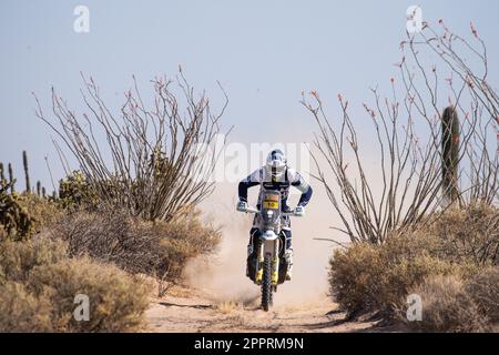 Hermosillo, Mexique. 24th avril 2023. 10 HOWES Skyler (etats-unis), Husqvarna Factory Racing, Husqvarna 450 Rally Factory, FIM W2RC, action lors de la phase 1 du Sonora Rally 2023, 3rd du Championnat mondial de rallye-RAID 2023, autour de Hermosillo on 24 avril 2023 à Hermosillo, Mexique - photo DPPI Credit: DPPI Media/Alay Live News Banque D'Images