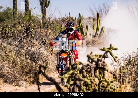 Hermosillo, Mexique. 24th avril 2023. 21 COX Bradley (zaf), équipe mondiale de course de bas KTM, RAID de rallye de KTM 450, FIM W2RC, action pendant la phase 1 du rallye de Sonora 2023, 3rd ronde du Championnat mondial de rallye-RAID 2023, autour de Hermosillo sur 24 avril 2023 à Hermosillo, Mexique - photo DPPI crédit: DPPI Media/Alay Live News Banque D'Images