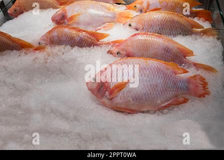 Red Tilapia (Ruby ou Red ou Pink Fish), Fresh Fish est dans la cale sur glace dans le supermarché moderne. Red Tilapia est un poisson d'eau douce. Banque D'Images