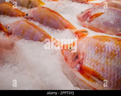 Red Tilapia (Ruby ou Red ou Pink Fish), Fresh Fish est dans la cale sur glace dans le supermarché moderne. Red Tilapia est un poisson d'eau douce. Banque D'Images