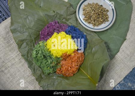 Riz collant de 5 couleurs dans le nord-ouest du Vietnam, en Asie Banque D'Images