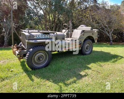 Une jeep militaire verte garée dans un parc extérieur luxuriant, entourée de grands arbres, d'herbe verte luxuriante et de divers arbustes Banque D'Images