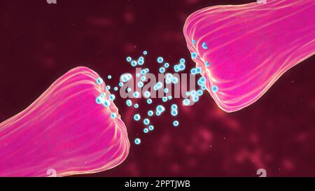 Animation neuronale et Synapse montrant des messagers chimiques ou des neurotransmetteurs libérés. Banque D'Images