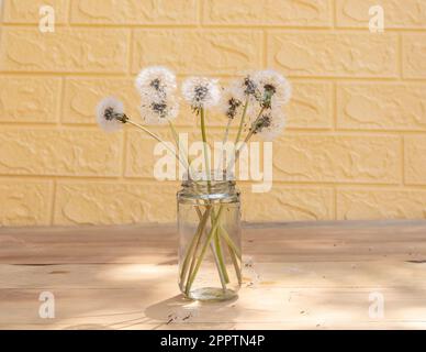 Un bouquet de pissenlits dans un pot en verre transparent sur une table en bois avec fond de briques Banque D'Images