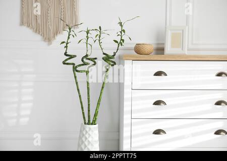 Vase avec tiges en bambou vert près de la commode dans la chambre. Design intérieur Banque D'Images