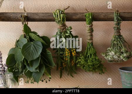 Des lapins de différentes belles fleurs séchées accrochées sur un bâton de bois près du mur beige Banque D'Images