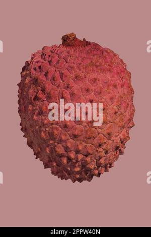 Gros plan texturé de fruit de litchi rouge sur fond rose Banque D'Images