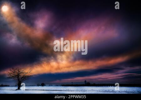 Ciel spectaculaire au-dessus d'un arbre solitaire dans un champ enneigé, Alessandria, Piémont, Italie Banque D'Images