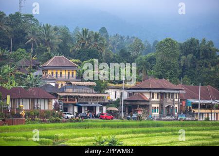 Jatiluwih, Bali, Indonésie - 24 avril 2023 : vue sur Jatiluwih, village de la Régence de Tabanan, Bali, Indonésie. Banque D'Images