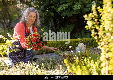 Heureuse femme de race blanche plantant des fleurs jardinage dans un jardin ensoleillé Banque D'Images