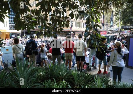 Sydney, Australie. 25th avril 2023. Le défilé annuel de l'ANZAC le long de la rue Elizabeth dans le centre-ville de Sydney. Credit: Richard Milnes/Alamy Live News Banque D'Images