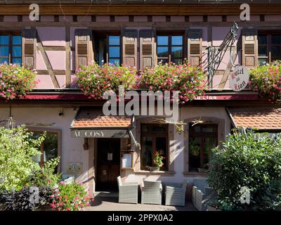 Ribeauville, France, 22 septembre 2022 : une charmante cour fleurie d'un restaurant gastronomique dans le quartier résidentiel pittoresque de Ribeauville, s Banque D'Images