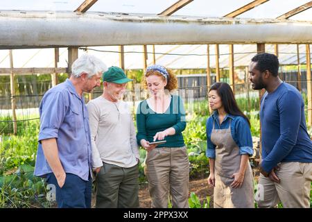 Une agronome féminine explique les agriculteurs multiculturels, hommes et femmes, par rapport à un PC tablette dans une ferme biologique Banque D'Images