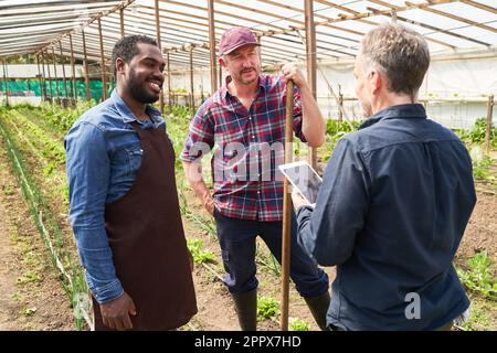 Un agronome masculin discute avec des agriculteurs multiculturels sur un Tablet PC tout en se tenant à la serre Banque D'Images