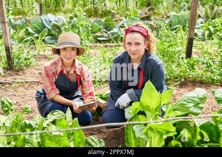 Portrait de femmes agronomes souriantes avec un PC tablette près des plantes fraîches dans une ferme biologique Banque D'Images