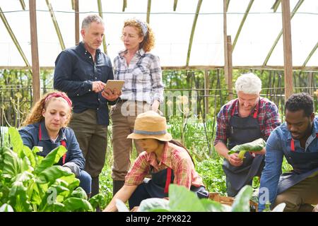 Les agriculteurs discutent pendant que les collègues hommes et femmes font le jardinage en serre Banque D'Images