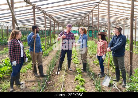 Les agriculteurs multiculturels, hommes et femmes, discutent sur tablette PC tout en se tenant debout avec des outils à la serre Banque D'Images