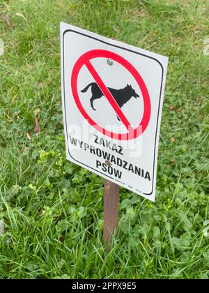 Panneau en métal blanc avec inscription interdisant la marche des chiens et l'interdiction de défécation dans le parc avec de l'herbe verte.Pas de signe de chien.Inscription en poli. Banque D'Images