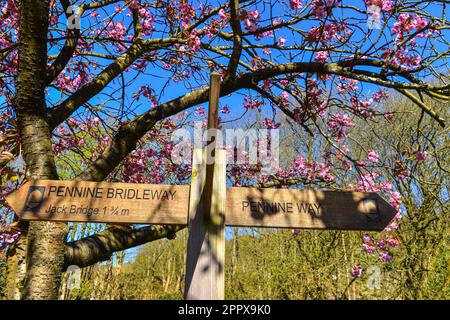 Panneau, Pennine Way, Pennine Bridleway Banque D'Images