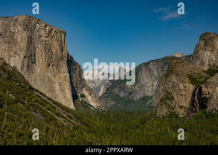 Forêt épaisse sous les chutes El Capitan et Bridalveil dans le parc national de Yosemite Banque D'Images