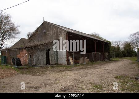 Les bâtiments abandonnés de la ferme de Woodhouse à Rivenhall Essex Banque D'Images