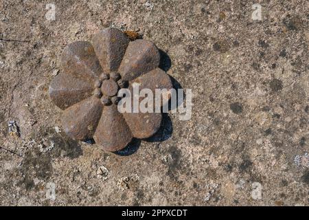 Élément floral ornemental en forme d'étoile sur une dalle tombeau, chantier naval de NY Kirke à Nyker, île de Bornholm, Danemark, Scandinavie, Europe. Banque D'Images