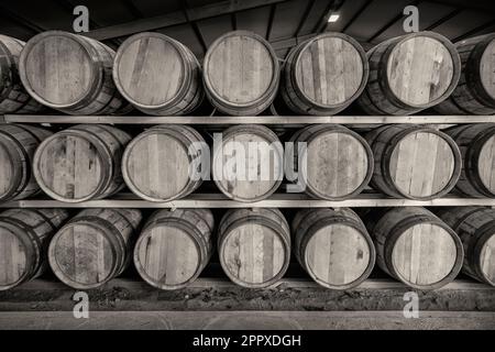 Une image en noir et blanc d'un front sur la vue d'une rangée de piles de fûts de whisky complets traditionnels, fixés à maturité, dans un grand entrepôt Banque D'Images