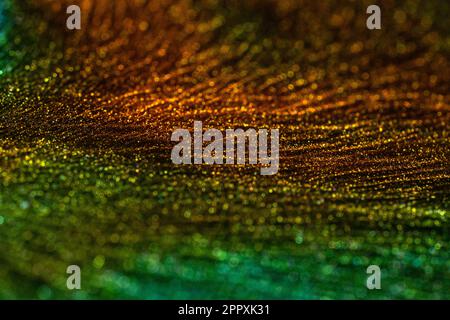 Gros plan de la poussière de pigment métallique étincelant de vert et de jaune couleur Banque D'Images
