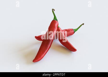 Piment rouge chaud isolé sur fond blanc détails de haute qualité Banque D'Images