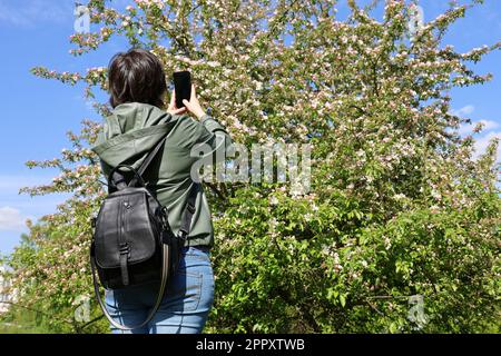 Photos de filles sur smartphone, fleurs de cerisier dans le jardin de printemps, vue arrière Banque D'Images