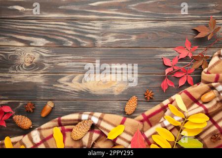 Arrière-plan de Thanksgiving ou de vacances automnales, vue de dessus, espace de copie. Composition de vacances automnales avec feuilles, anis étoilé, cône et écossais. Banque D'Images