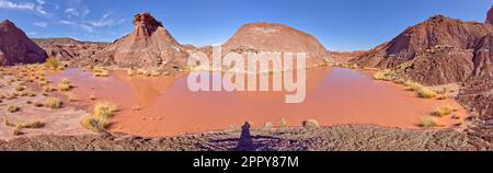 Un point d'eau marécageux dans le parc national de la Forêt pétrifiée Arizona appelé Tiponi Flats. Banque D'Images