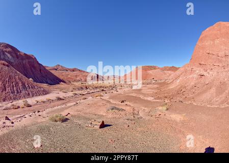 Vue depuis Tiponi Canyon au parc national de Petrified Forest, Arizona. La montagne au loin est Pilot Rock. Banque D'Images