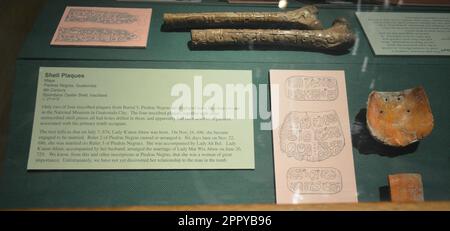 Deux coquilles avec des glyphes maya, ces derniers parlent de la vie de la Lady K'atun AHAW. Les deux autres coquillages sont au Musée du Guatemala. Musée de l'université de Pennsylvanie Banque D'Images