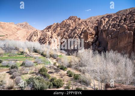 Formations rocheuses connues sous le nom de doigts de singe dans la vallée de Dades. Banque D'Images